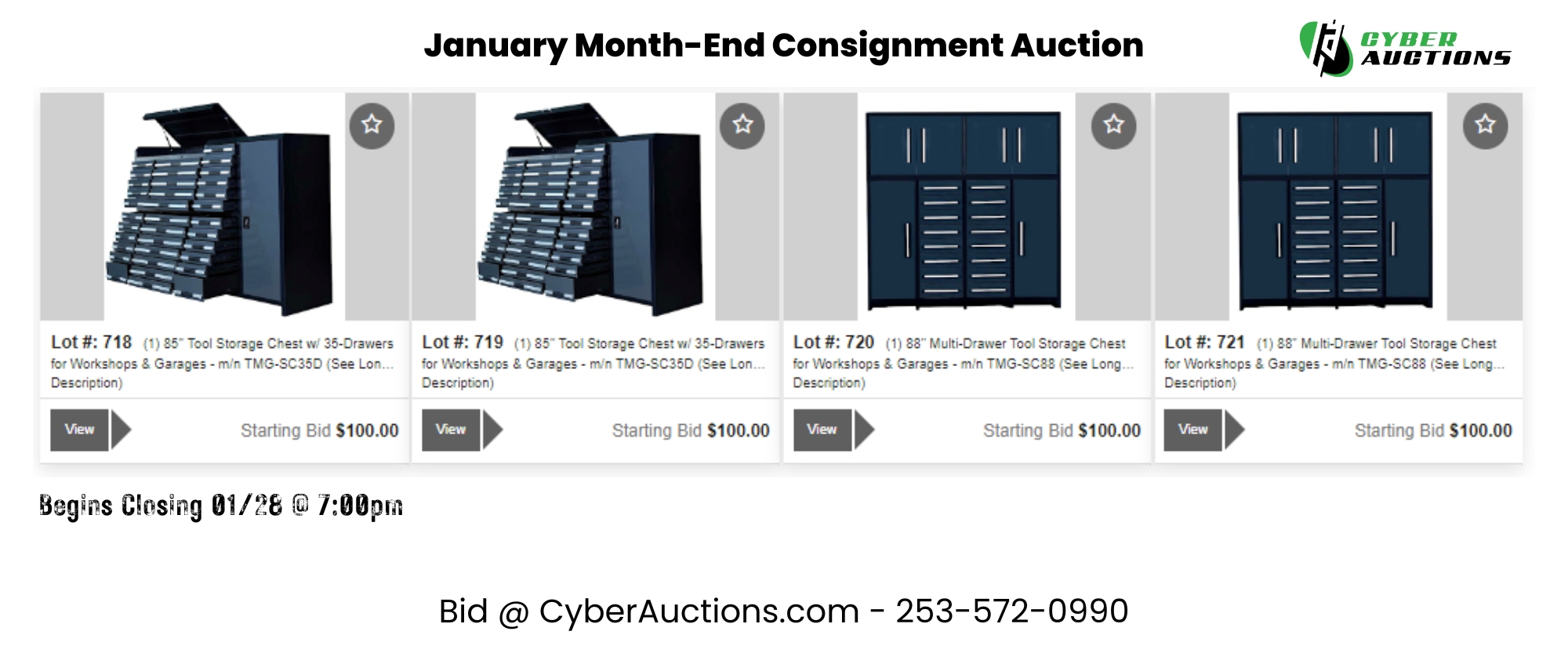 Copy of Copy of January Month End Consignment Auction